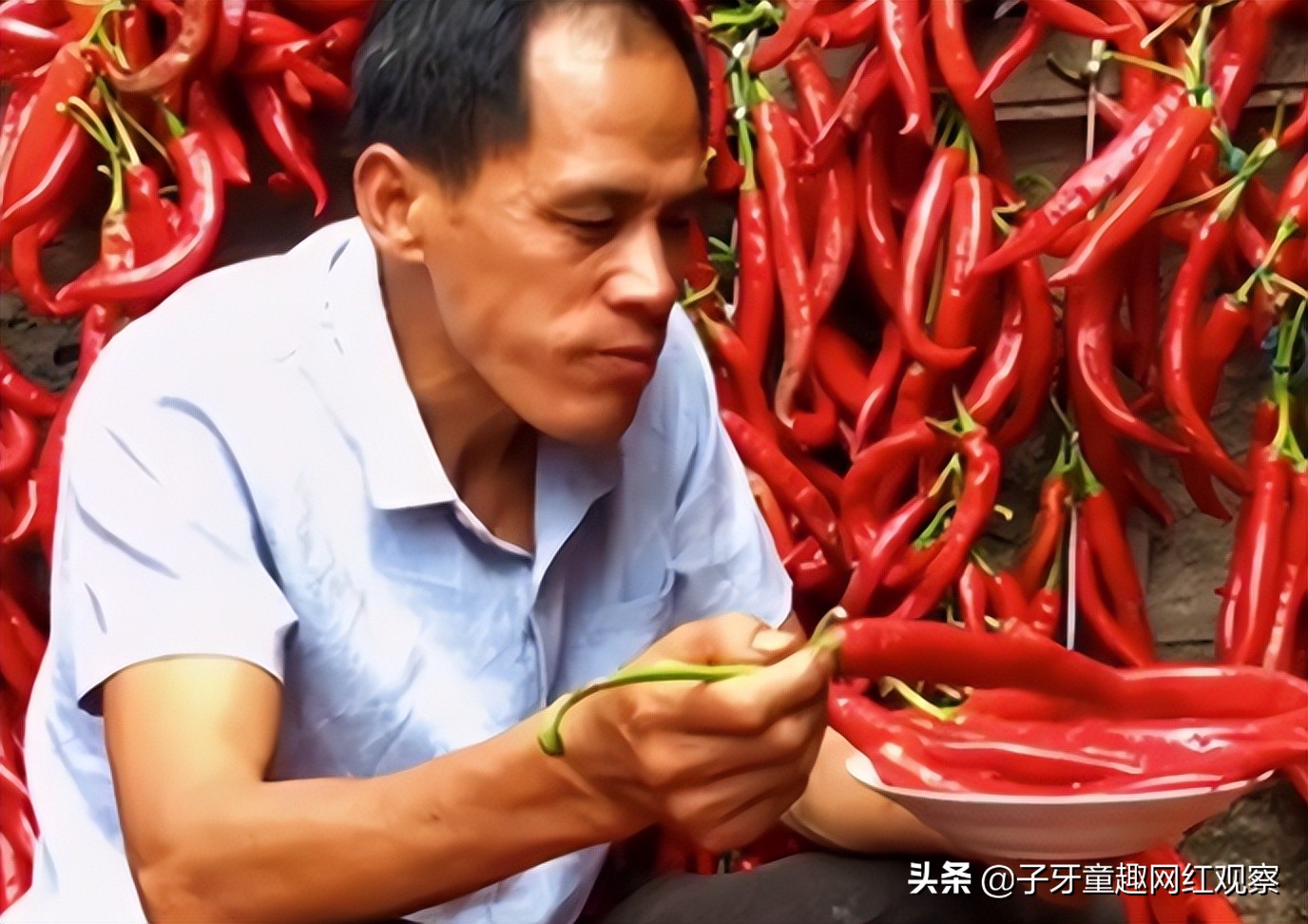 云南老汉老杨 黑暗料理 网红_云南做黑暗料理网红,