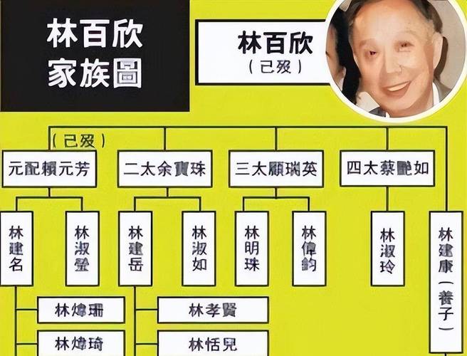 娱乐圈君芳是谁 幕后玩家揭秘名媛身份